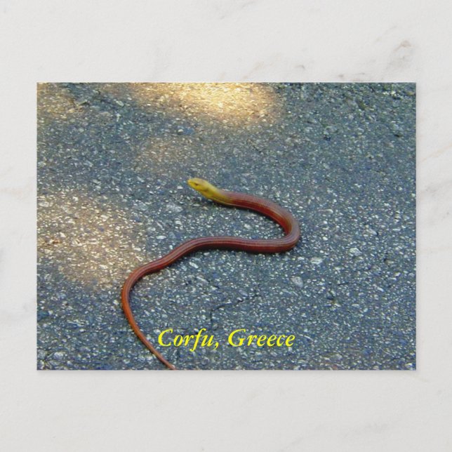 Korfu, Grekland Vykort (Framsida)