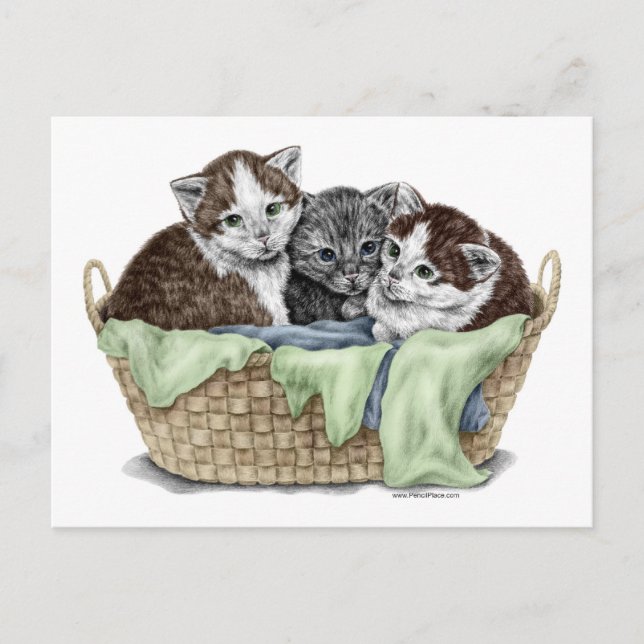 Korg med kattungar vykort (Framsida)