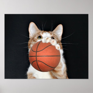 Korgbasket Poster