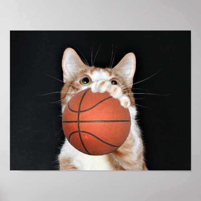 Korgbasket Poster (Framsidan)