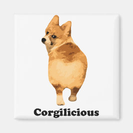 Korgilisk Magnet