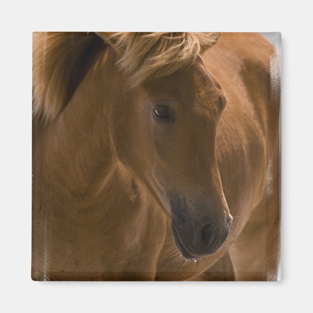 Korgstreck för kastanjens design magnet (Framsidan)