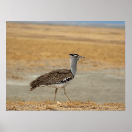 Kori Bustard - Afrikans Heaviest Flies Bird Poster