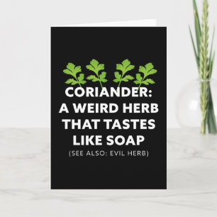 Koriander A Herb som smakar som tvål Kort