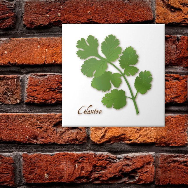 Korianderört Keramisk Kakel (Cilantro Herb Ceramic Tile, aromatic leaves with a distinctive flavor. )