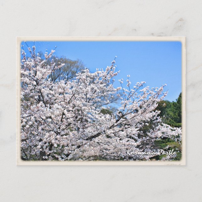 Kōriyama Castle ポストカード Vykort (Framsida)