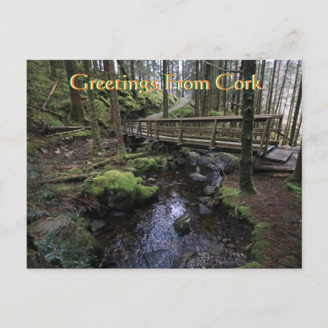 Kork Ireland vykort (Framsida)