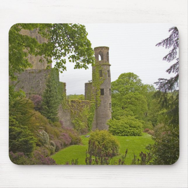 Kork, Irland. Den ökända Blarney Castle 2 Musmatta (Framsidan)