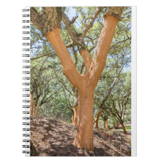 Kork träd på portugisiska Algarve.JPG Anteckningsbok