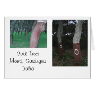 Kork Träd - Sardinien, Italien OBS Kort