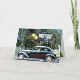 Körkort för fröken Daisy Parrotlet-fågelhälsning Kort