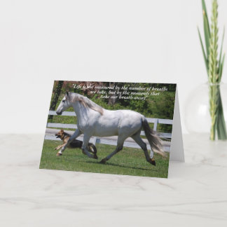 KÖRKORT FÖR HORSE OCH HUND KORT