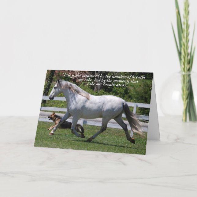 KÖRKORT FÖR HORSE OCH HUND KORT (Framsida)