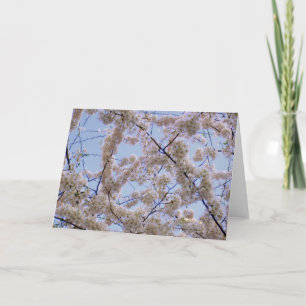 Körkort för tom körsbärskort för Blommar Kort