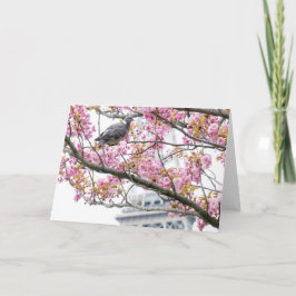 Körkort för tom körsbärskort med Blommar Kort
