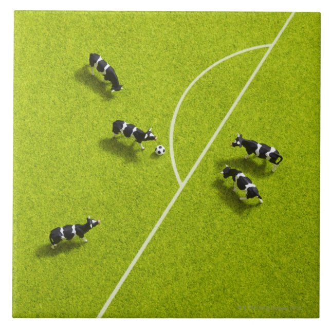 Korna som leker fotboll kakelplatta (Framsidan)