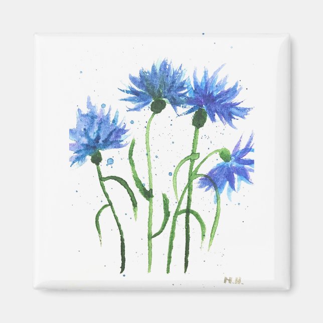 Kornblommor blåa blommor, vattenfärg magnet (Framsidan)
