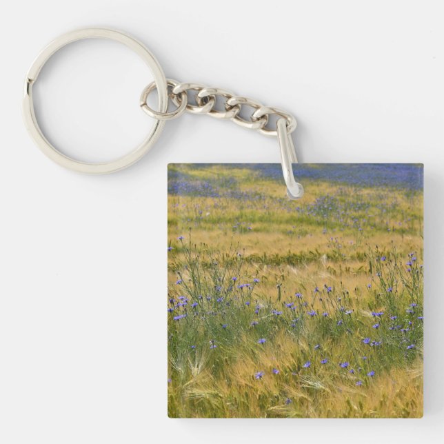 Kornblommornas fält      (Framsidan)