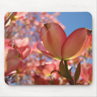 KORNELL ROSA BLOMMOR MUSDÄCKEN MUSDÄCKEN MUSMATTA