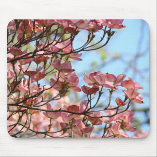 KORNELL ROSA BLOMMOR MUSDÄCKEN MUSDÄCKEN MUSMATTA