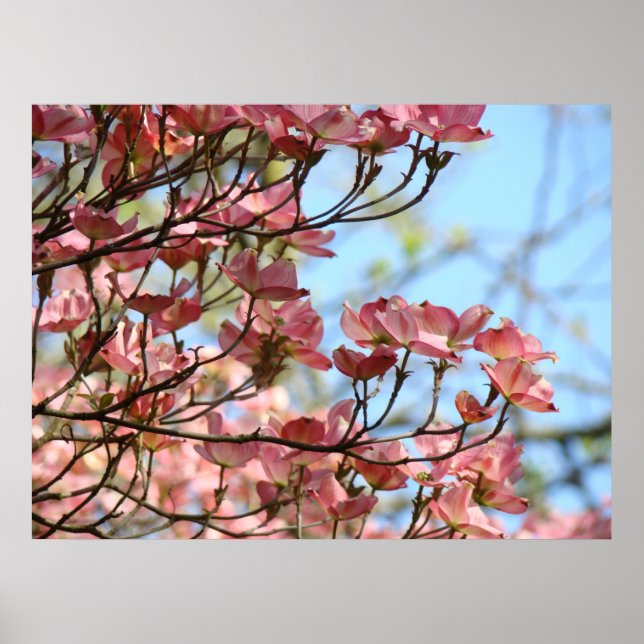 Kornellblommor 10 Naturkonsttryck Posters (Framsidan)