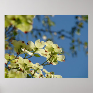 Kornellträd Blommig Landskaps konsttryck gåvor Poster