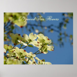 Kornellträd Blommor konsttryck Blå Himmel Landskap Poster