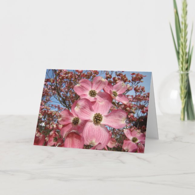 Kornellträd Blommor Kort Blommig Trädgård (Framsida)