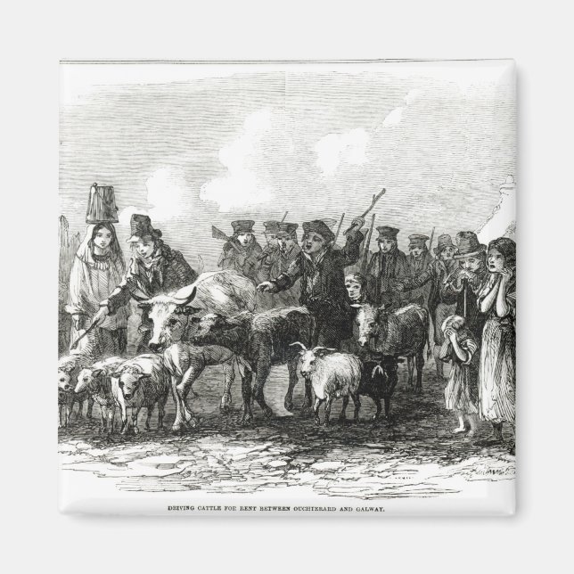 Körning av boskap mot hyra magnet (Framsidan)