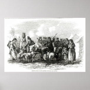 Körning av boskap mot hyra poster