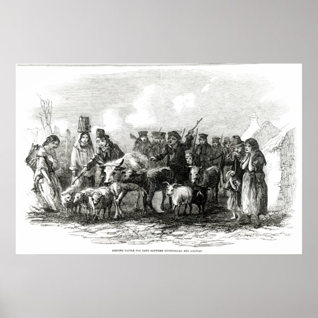 Körning av boskap mot hyra poster (Framsidan)