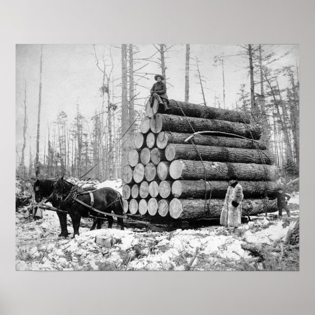 Körning av en last stockar, 1908. Återblickande fo Poster (Framsidan)