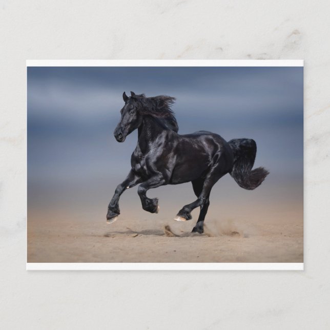 Körning av segment vykort (Framsida)