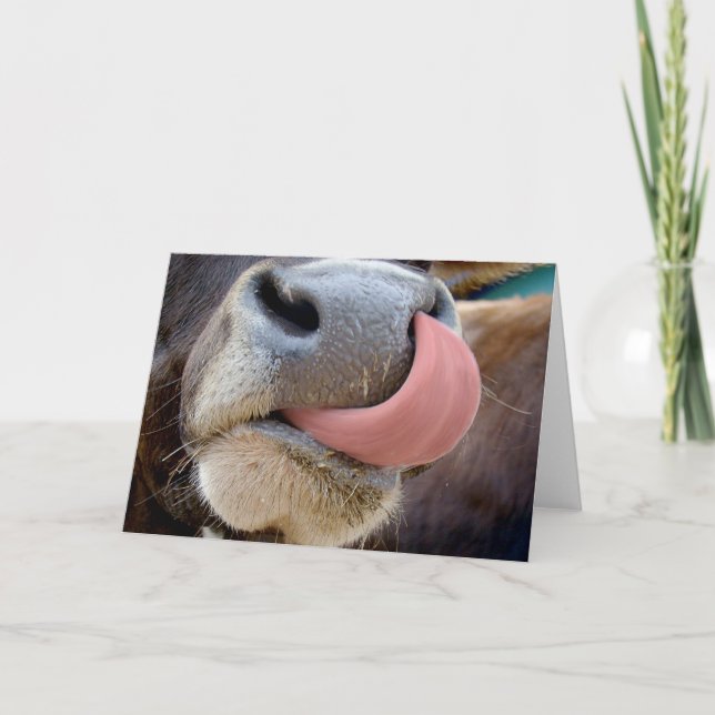 Kornöts tunga kort (Framsida)