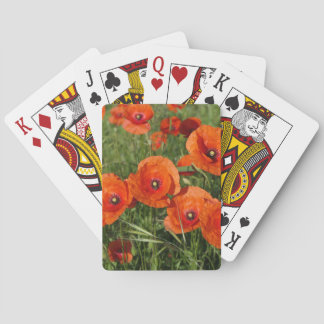 Kornvallmo Casinokort
