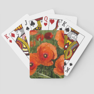 Kornvallmor casinokort