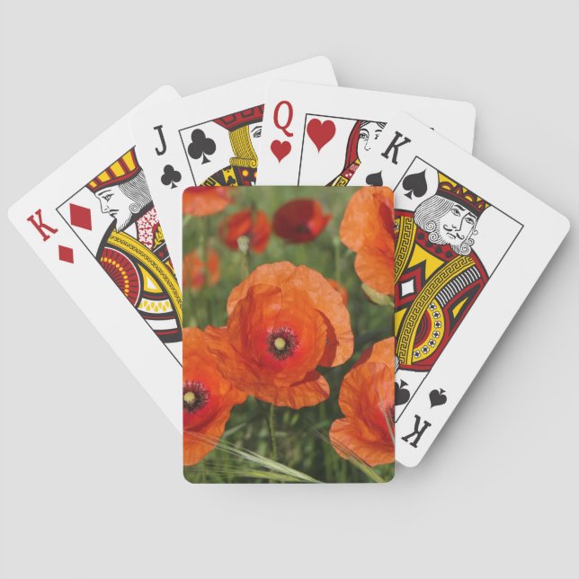 Kornvallmor  casinokort (Baksidan)