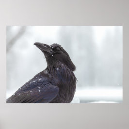 Korp i snö poster