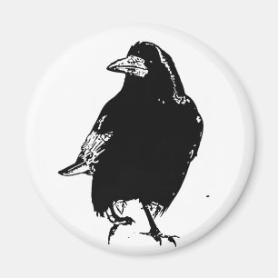 Korpsvart Magnet
