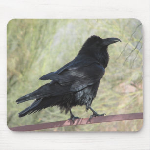 Korpsvarta Mousepad Musmatta