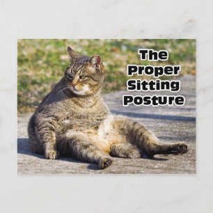 Korrekt Sitta-ställning Vykort