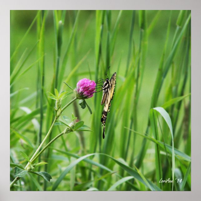 Korrekt utförande poster (Framsidan)
