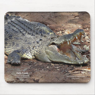Korridorbäck Croc Musmatta