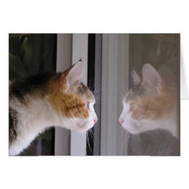 Korrigeringar Hälsningskort