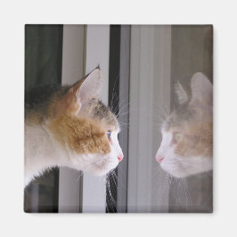 Korrigeringar Magnet