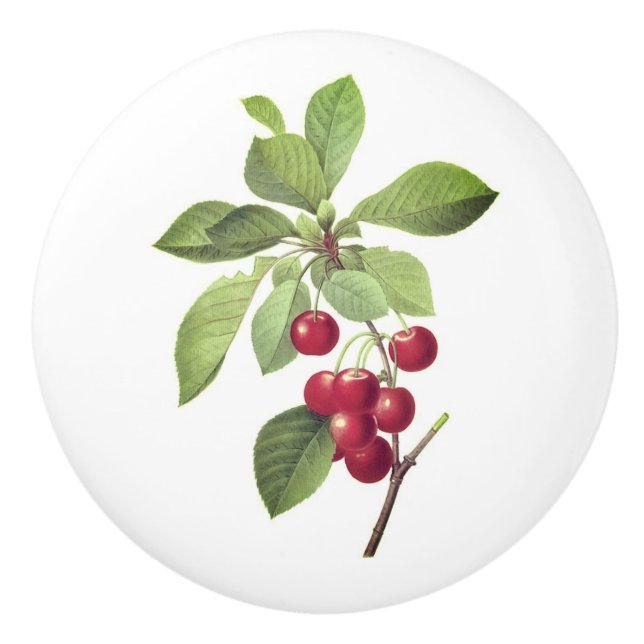 Körsbär åt dig knopp (Framsidan)