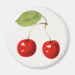 Körsbär Magnet