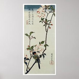 Körsbärblommar och liten fågel poster