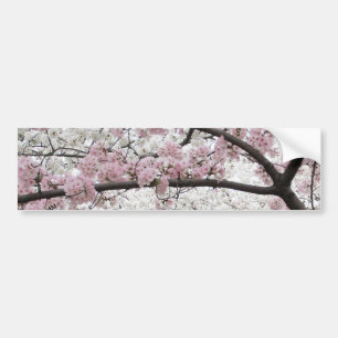Körsbäret blomstrar bildekal 10