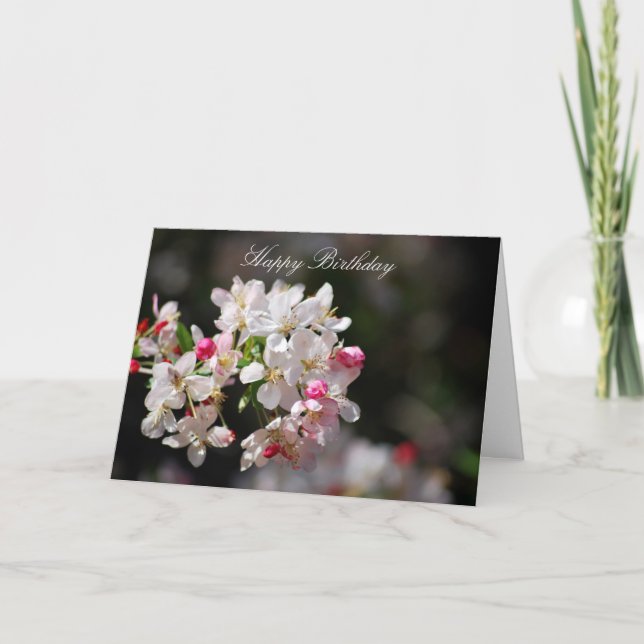 Körsbäret blomstrar grattis på födelsedagen kort (Framsida)